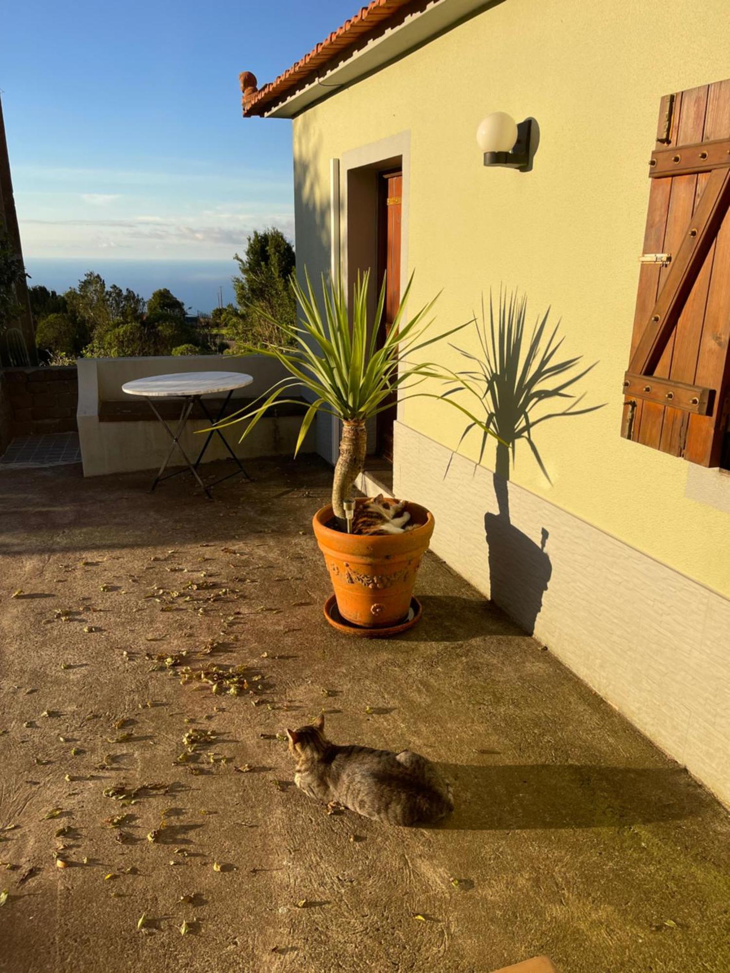 Achadas Nature Suite Achadas da Cruz ภายนอก รูปภาพ